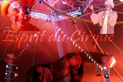 Esprit de cirque