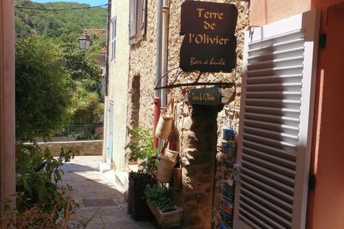 Terre de l'Olivier