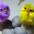 Atelier Créatif pour les enfants - Les poussins de Pâques_Ramatuelle