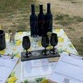 Atelier dégustation au coeur des vignes