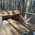 Atelier survivalisme