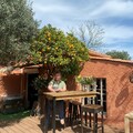 Chez Lolo
