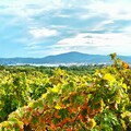 Clos des B