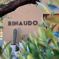 Domaine Rinaudo