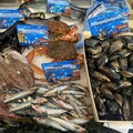 La Poissonnerie du Village