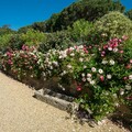LesJardiniersdu Golfe
