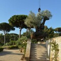 LesJardiniersdu Golfe
