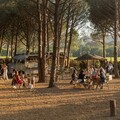 Domaine Fondugues Pradugues