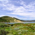 Randonnée “Sur les pas des douaniers du Cap Taillat”