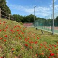 Tennis & Padel Ramatuelle