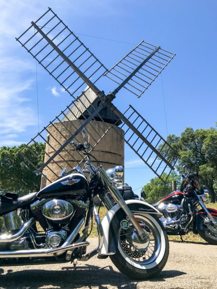 Les passionnés de #harleydavidson se donnent rdv tout le long du week-end dans le Golfe de Saint-Tropez et en profitent pour visiter les incontournables de la commune ! 👉NB : la parade passera par cet après-midi à #ramatuelle aux alentours de 17h
© S. Ozolins