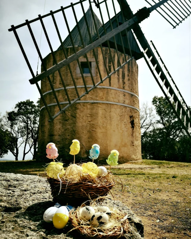 La chasse aux œufs a commencé au moulin de Paillas ! Joyeuses Pâques à tous les petits et grands gourmands 🍫

_📷 @‌destinationramatuelle
_👉 Follow & Tag: #destinationramatuelle
#pâques #lapin #chocolat #ramatuelle #pampelonne #familytime #famille #holidays #exploreregionsud #visitfrance #france_focus_on #windmill #moulins #moulin #moinho #moinhos #easter #april #avril #weekendtime #chasseauxœufs