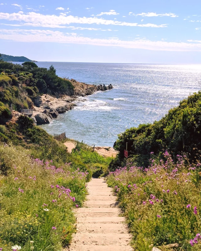 Mode week-end prolongé activé ✅ Qu'avez vous prévu ? 

#ramatuelle #golfesttropez #levarlunique #hello_france #travelgram #lesud #sentier #provencealpescotedazur #francephoto #exploreregionsud #visitfrance #littoral #france_focus_on #exploreworld #travel #suddelafrance #vacances #fierdusud #paca #pacatourisme #frenchriviera #cotedazurfrance #levar #Landscape #randonnee #weekend